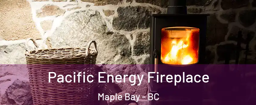 Pacific Energy Fireplace Maple Bay - BC