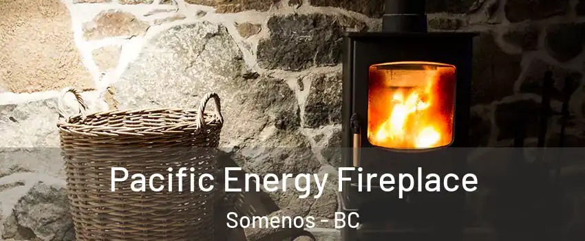  Pacific Energy Fireplace Somenos - BC