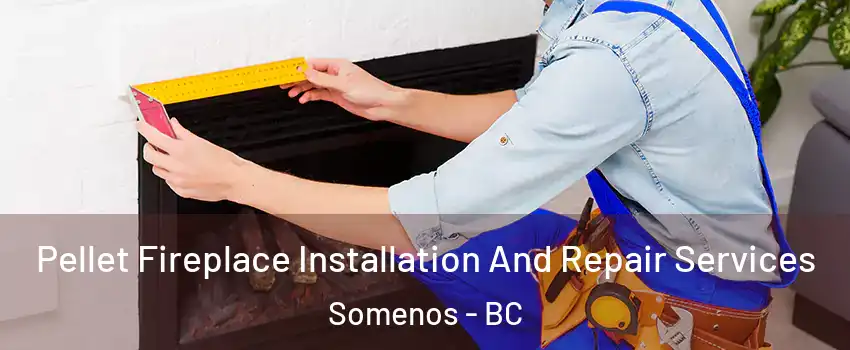  Pellet Fireplace Installation And Repair Services Somenos - BC