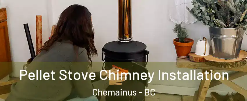  Pellet Stove Chimney Installation Chemainus - BC
