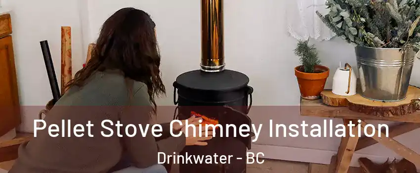  Pellet Stove Chimney Installation Drinkwater - BC