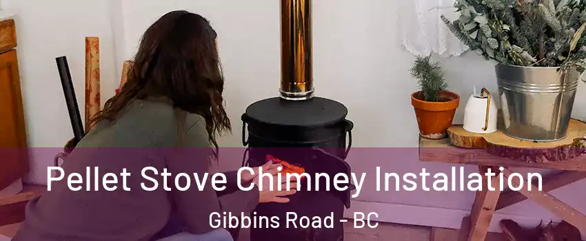  Pellet Stove Chimney Installation Gibbins Road - BC