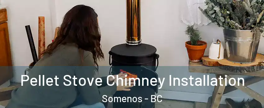  Pellet Stove Chimney Installation Somenos - BC