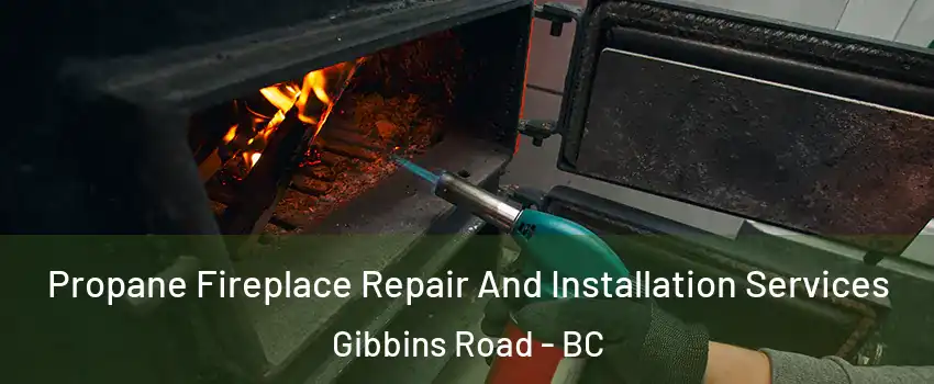  Propane Fireplace Repair And Installation Services Gibbins Road - BC