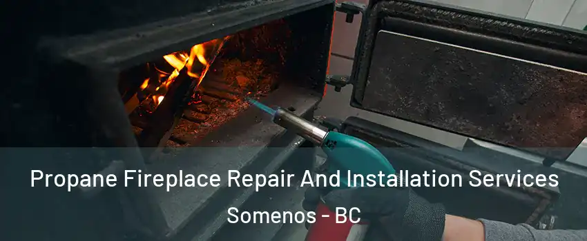  Propane Fireplace Repair And Installation Services Somenos - BC