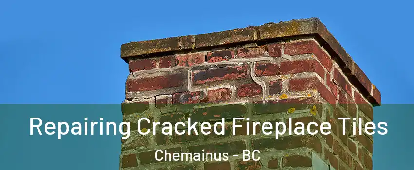  Repairing Cracked Fireplace Tiles Chemainus - BC