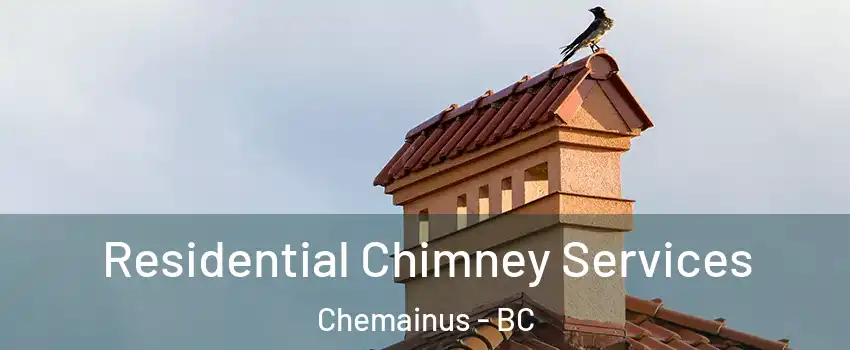  Residential Chimney Services Chemainus - BC