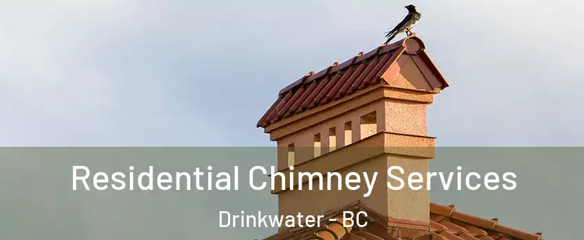  Residential Chimney Services Drinkwater - BC