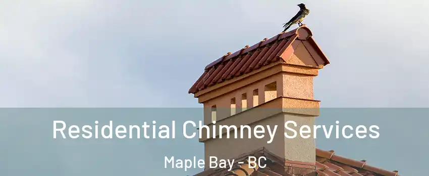  Residential Chimney Services Maple Bay - BC