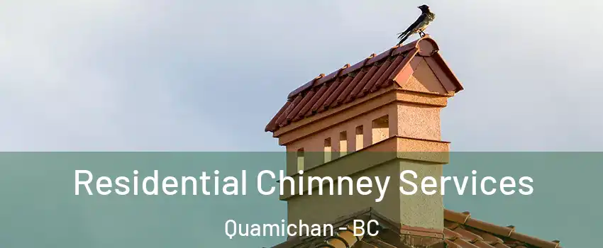  Residential Chimney Services Quamichan - BC