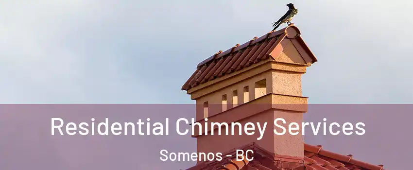  Residential Chimney Services Somenos - BC