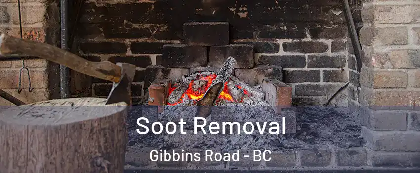  Soot Removal Gibbins Road - BC