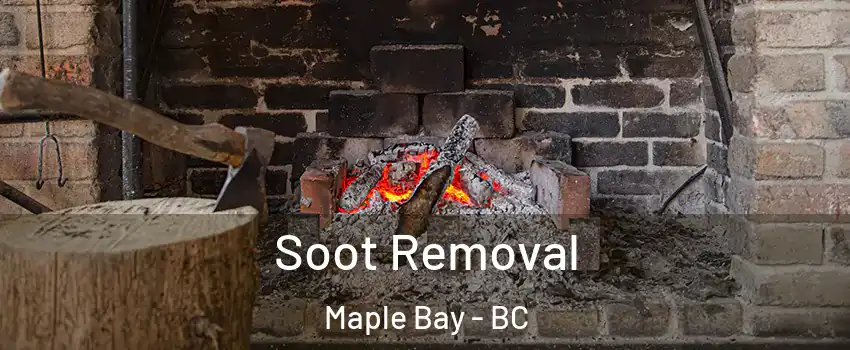  Soot Removal Maple Bay - BC