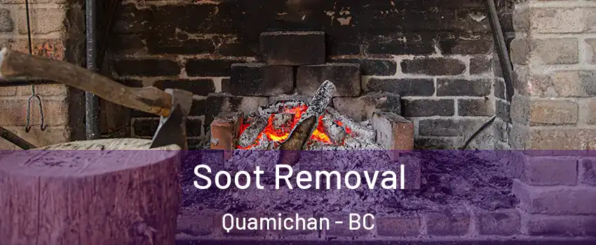  Soot Removal Quamichan - BC