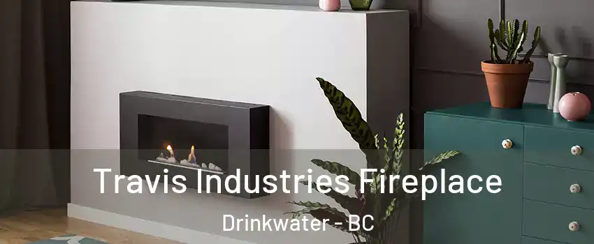 Travis Industries Fireplace Drinkwater - BC