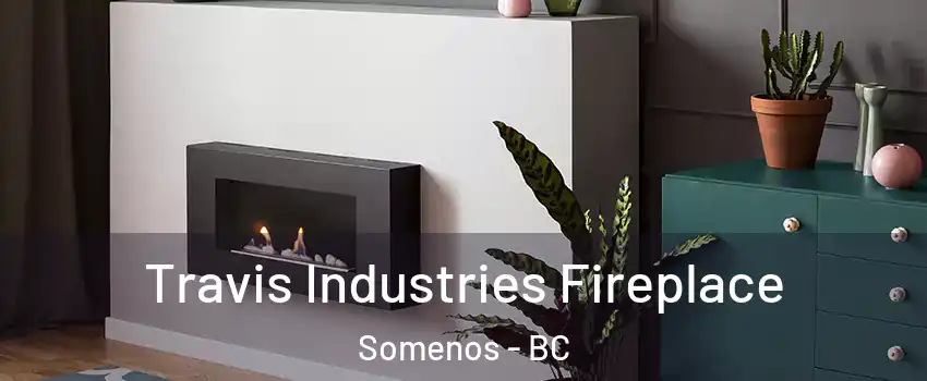  Travis Industries Fireplace Somenos - BC