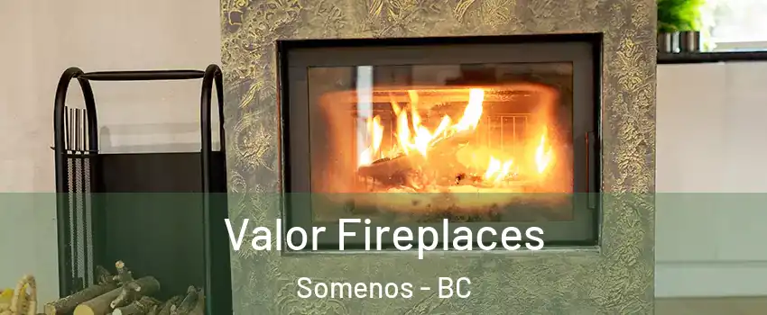  Valor Fireplaces Somenos - BC