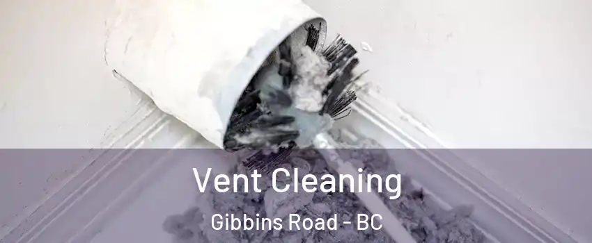  Vent Cleaning Gibbins Road - BC
