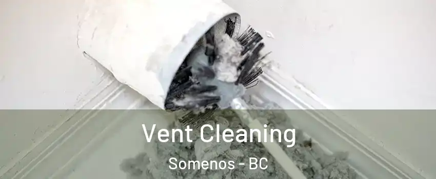  Vent Cleaning Somenos - BC