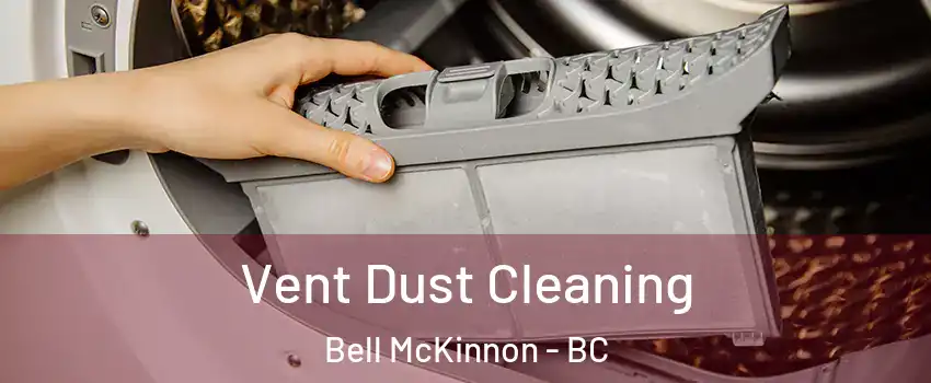  Vent Dust Cleaning Bell McKinnon - BC