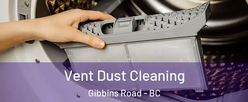  Vent Dust Cleaning Gibbins Road - BC