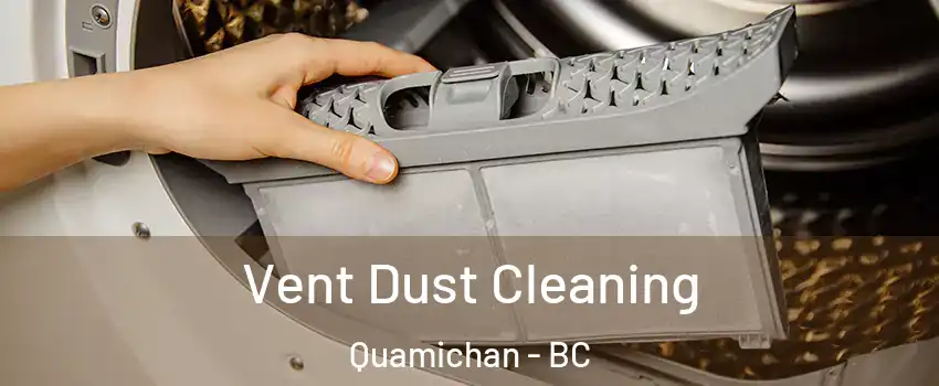  Vent Dust Cleaning Quamichan - BC