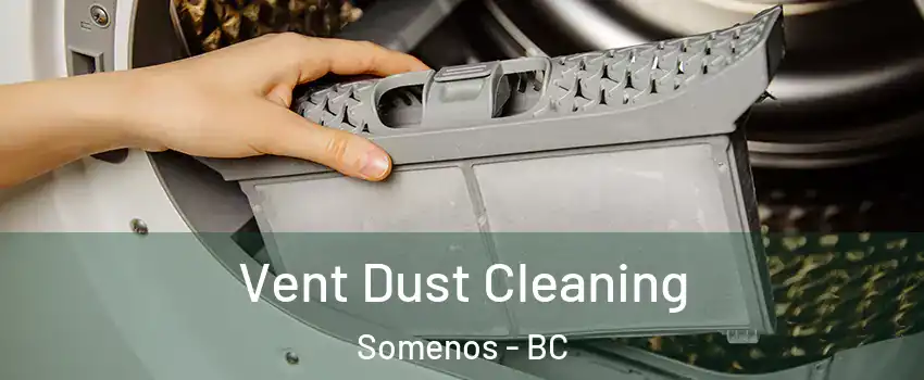  Vent Dust Cleaning Somenos - BC