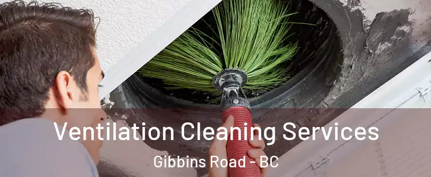  Ventilation Cleaning Services Gibbins Road - BC