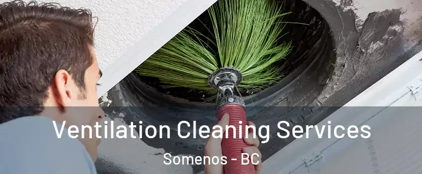 Ventilation Cleaning Services Somenos - BC