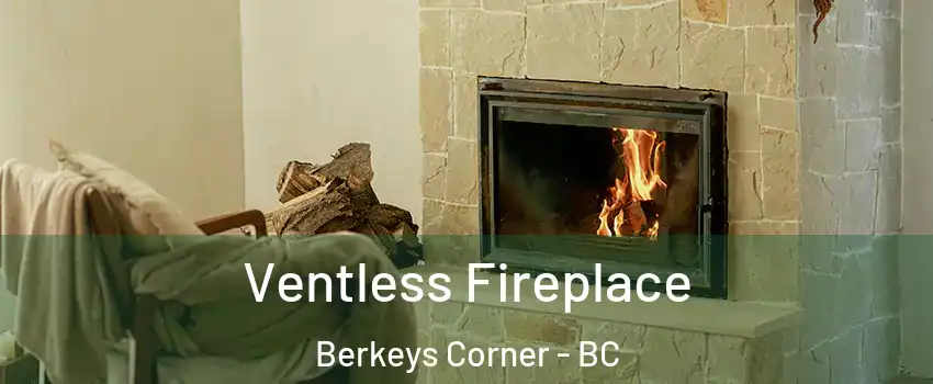  Ventless Fireplace Berkeys Corner - BC
