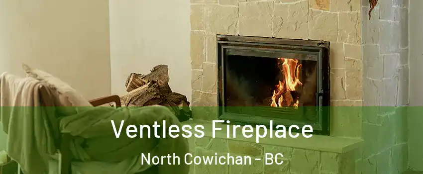  Ventless Fireplace North Cowichan - BC
