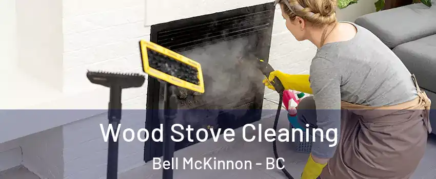  Wood Stove Cleaning Bell McKinnon - BC