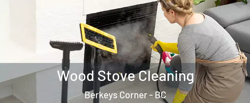  Wood Stove Cleaning Berkeys Corner - BC