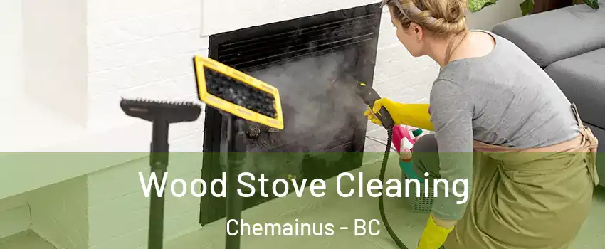  Wood Stove Cleaning Chemainus - BC