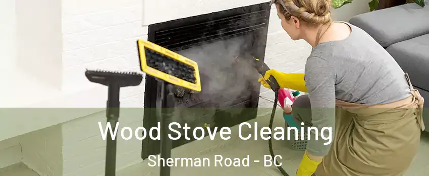  Wood Stove Cleaning Sherman Road - BC